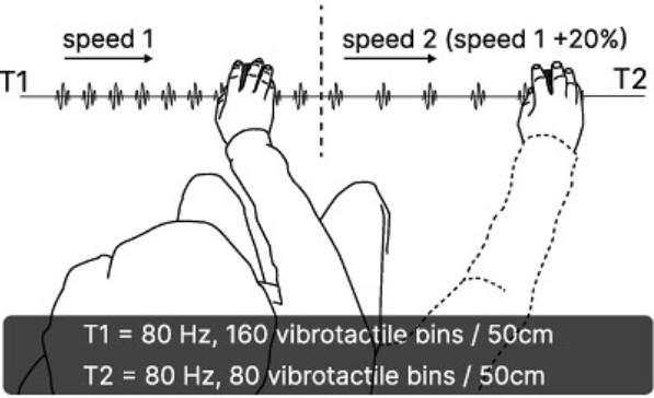 Project figure MUC25