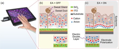 Project figure ToH24