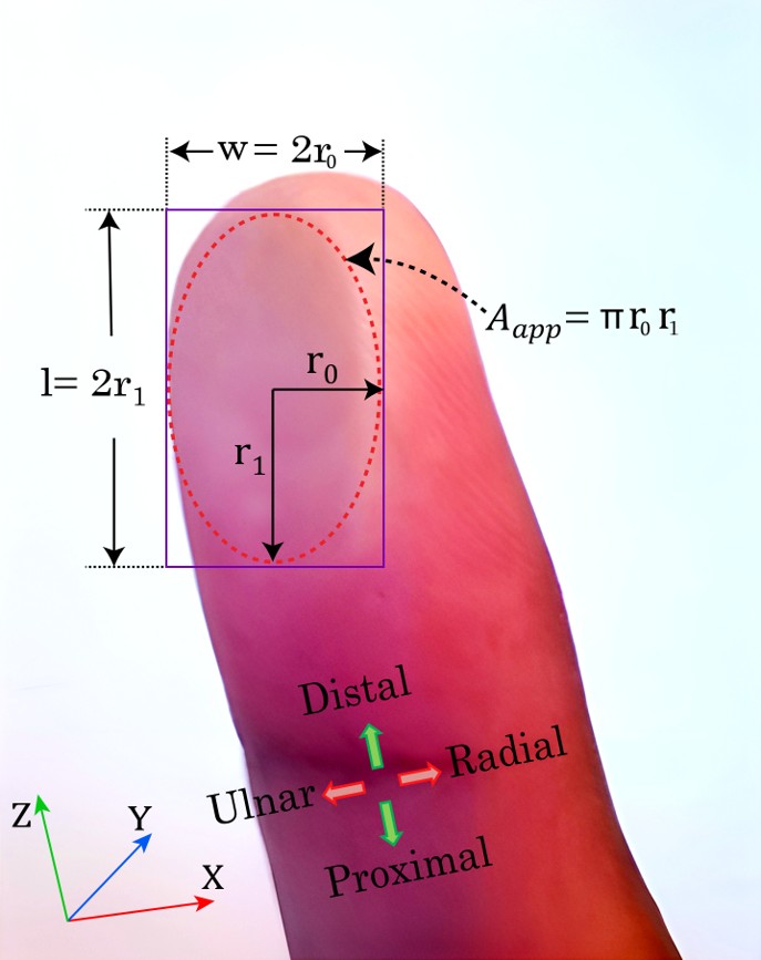 Project figure ToH25